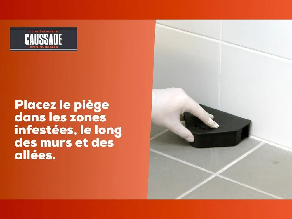 Carpt400 Raticide Canadien Forte Infestation Appât Prêt à L'emploi Nou – Image 5