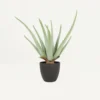 Aloe Vera Artificiel 35cm