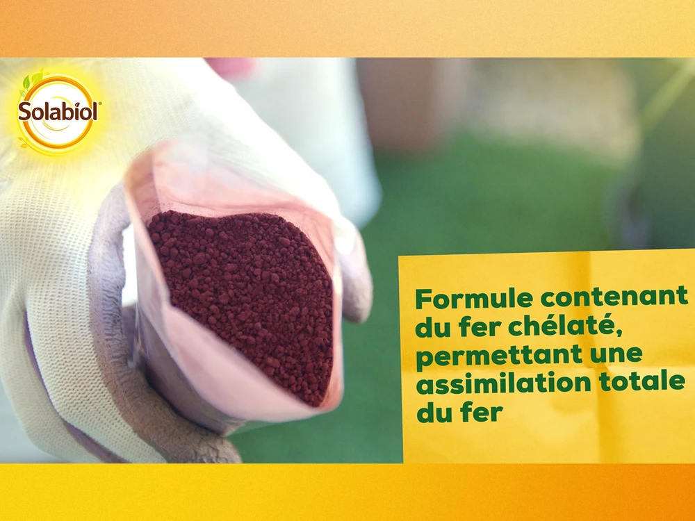 Solabiol Soseq01 | Sequestrene Antichlorose 100g | Action Longue DurĂ©e | Fabriq â Image 3