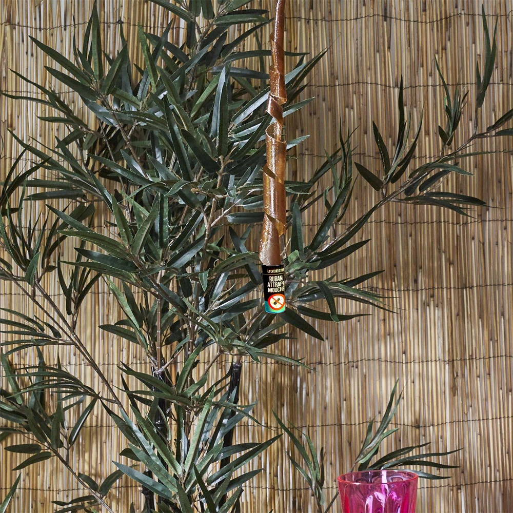 Set De 24 Rubans Attrape-mouches â Image 2