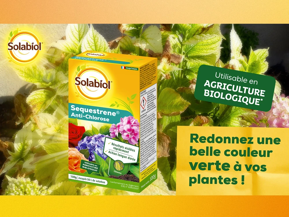 Solabiol Soseq01 | Sequestrene Antichlorose 100g | Action Longue DurĂ©e | Fabriq â Image 4