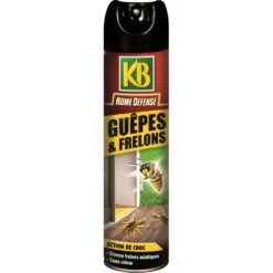 Home Défense - Guêpes Et Frelons 400ml