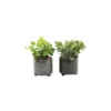Plante Succulente Artificielle En Pot émaillé (lot De 2)