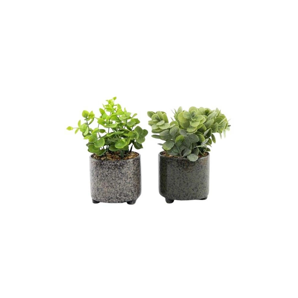 Plante Succulente Artificielle En Pot émaillé (lot De 2)