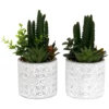 Plante Succulente Artificielle Pot En Ciment (lot De 2)