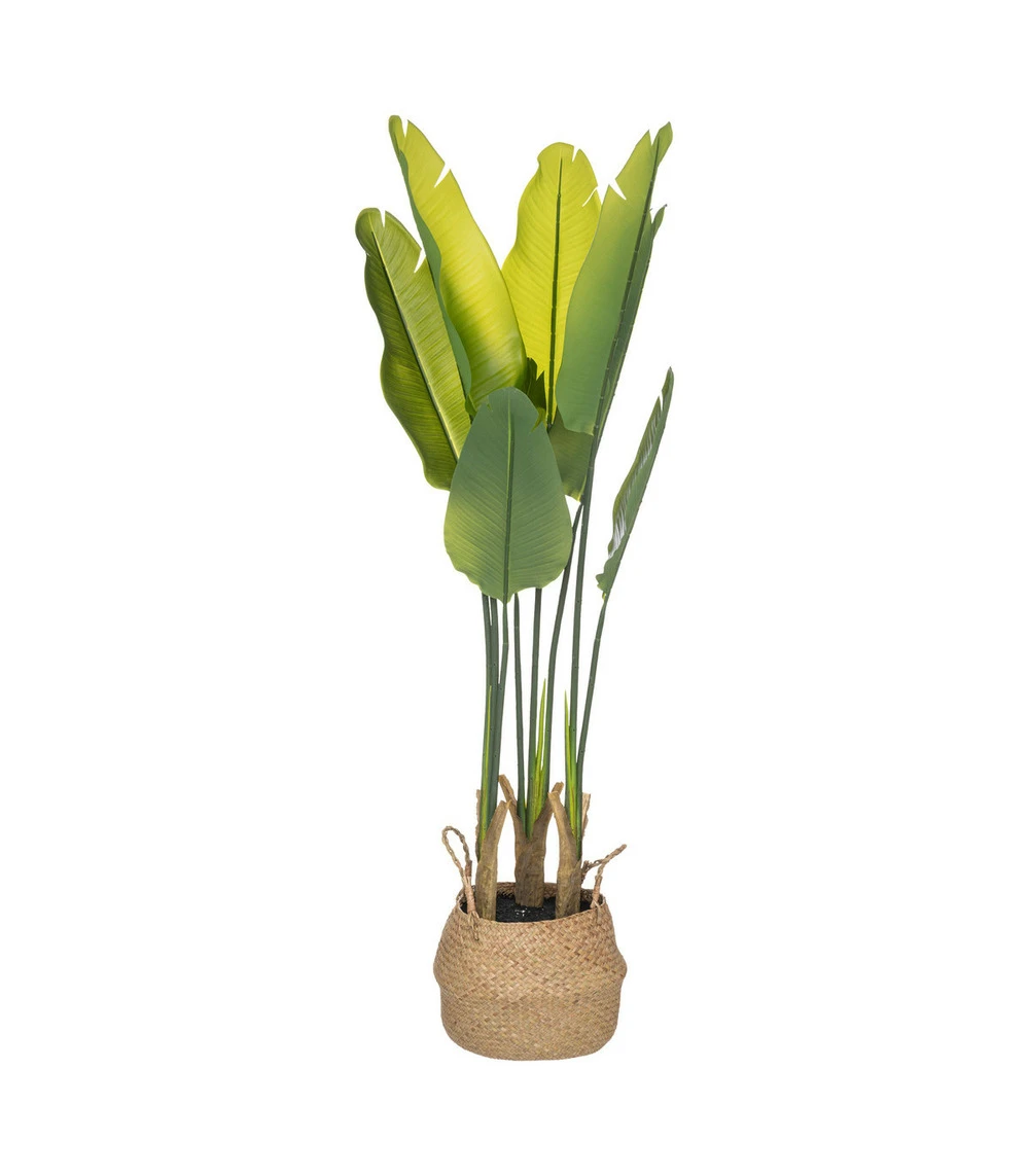 ATMOSPHERA Plante Artificielle Strelitzia En Pot H 120 Cm