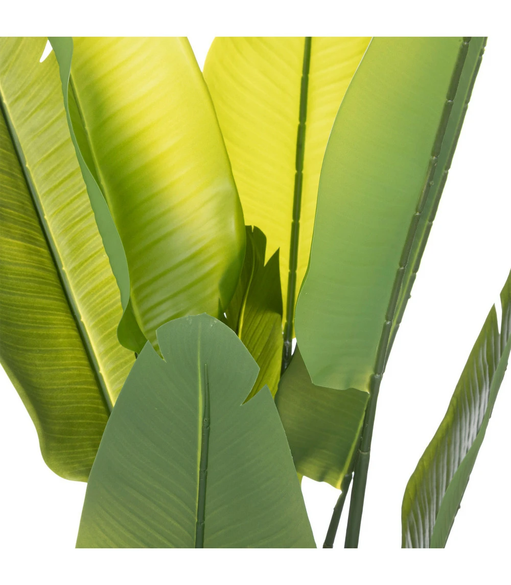 ATMOSPHERA Plante Artificielle Strelitzia En Pot H 120 Cm â Image 2