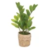 ATMOSPHERA Plante Artificielle Zamio En Pot H 41 Cm