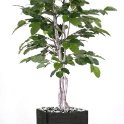 Figuier Des Banyans Artificiel 180 Cm