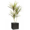 Dracaena Artificiel 3 Troncs En Pot H 140 Cm Vert-rose - Choisissez Votre Hauteu
