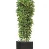 Schefflera Artificiel En Colonne En Pot H 195 Cm Vert-jaune