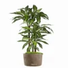 Dracaena Artificiel Fragrans 3 Troncs En Pot H 120 Cm Blanc-vert D 60cm - Choisi