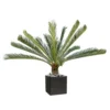 Palmier Cycas Artificiel En Pot H 200 Cm Vert - Choisissez Votre Hauteur: H 200