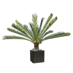 Palmier Cycas Artificiel En Pot H 200 Cm Vert - Choisissez Votre Hauteur: H 200