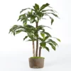 Dracaena Artificiel Fragrans 3 Troncs En Pot H 150 Cm Vert D 70 Cm - Choisissez