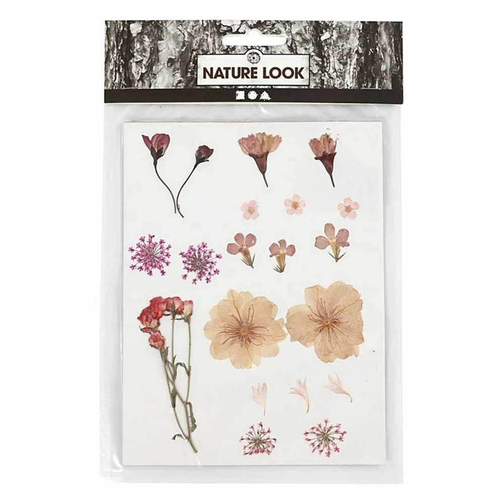 40 Fleurs Séchées Et Pressées - Rose Clair – Image 2