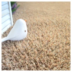 Gazon Synthétique Arty - Couleur Beige - 20mm - 2m X 4m