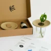 Coffret De Germination
