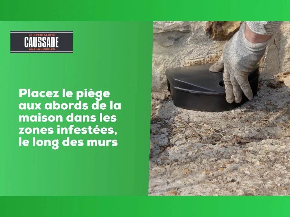 Carpt720 Lot De 4 Boîtes Raticide Canadien Pat'appât Fortes Infestatio – Image 5