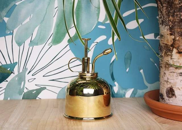 Vaporisateur En Laiton Doré Pour Plantes D'intérieur – Image 3