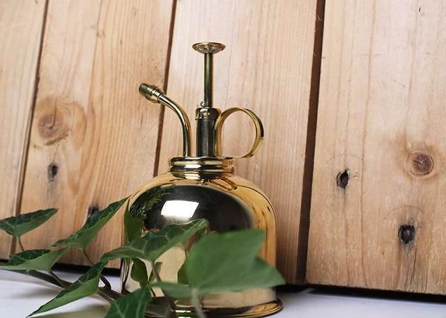 Vaporisateur En Laiton Doré Pour Plantes D'intérieur – Image 2