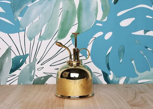 Vaporisateur En Laiton Doré Pour Plantes D'intérieur – Image 4