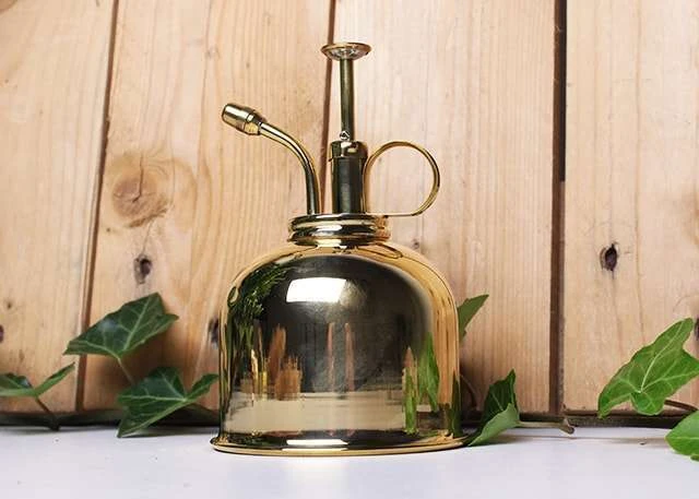 Vaporisateur En Laiton Doré Pour Plantes D'intérieur – Image 5