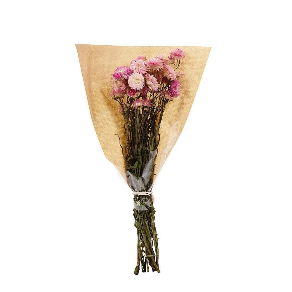 Bouquet De Fleurs Séchées Helichrysum Rose – Image 2