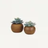 Succulente Artificielle Pot Bois 15cm Lot De 2
