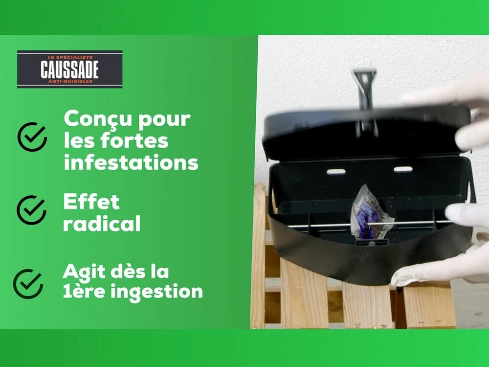 Carpt720 Lot De 4 Boîtes Raticide Canadien Pat'appât Fortes Infestatio – Image 4