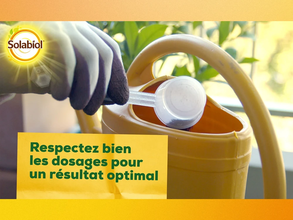 Solabiol Soseq01 | Sequestrene Antichlorose 100g | Action Longue DurĂ©e | Fabriq â Image 5