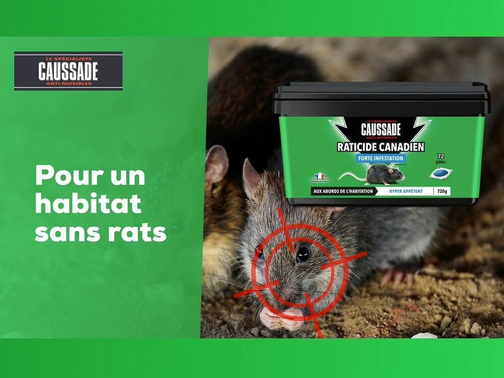 Carpt720 Lot De 4 Boîtes Raticide Canadien Pat'appât Fortes Infestatio – Image 2
