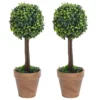 VIDAXL Plantes De Buis Artificiel 2 Pcs Avec Pots Boule Vert 56 Cm